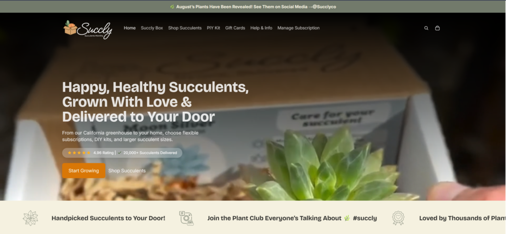 Succly shopify website hero section showing how it should be designed to get the best conversions and increase sales.